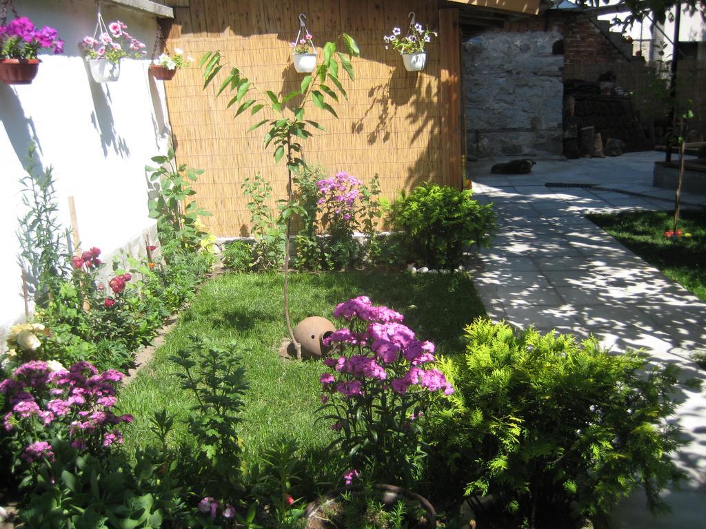 Aseva House Guest House Bansko Exterior foto