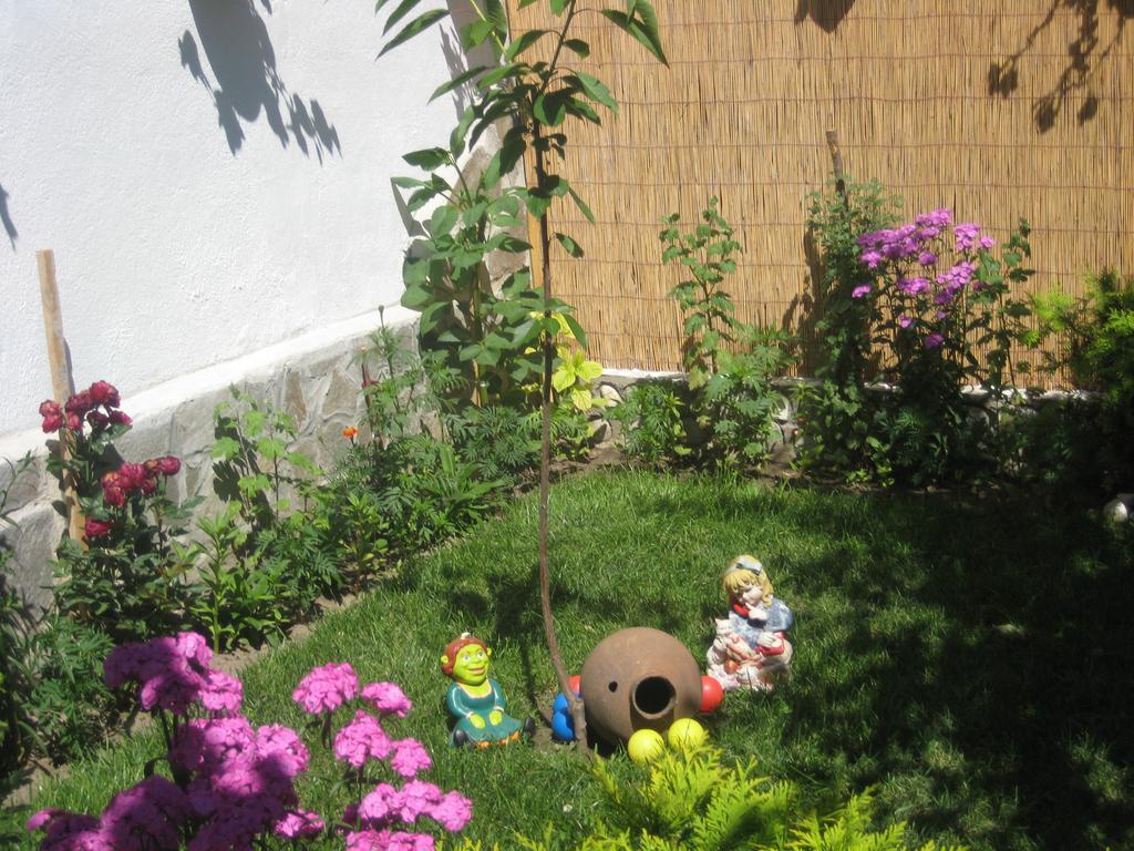 Aseva House Guest House Bansko Exterior foto