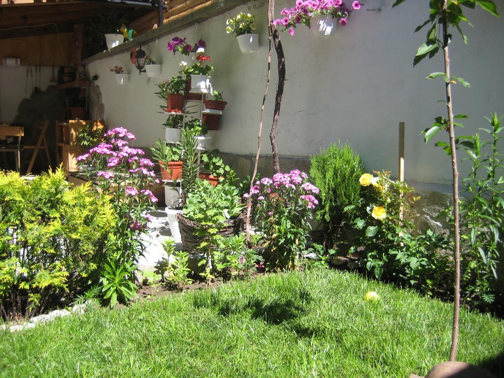 Aseva House Guest House Bansko Exterior foto