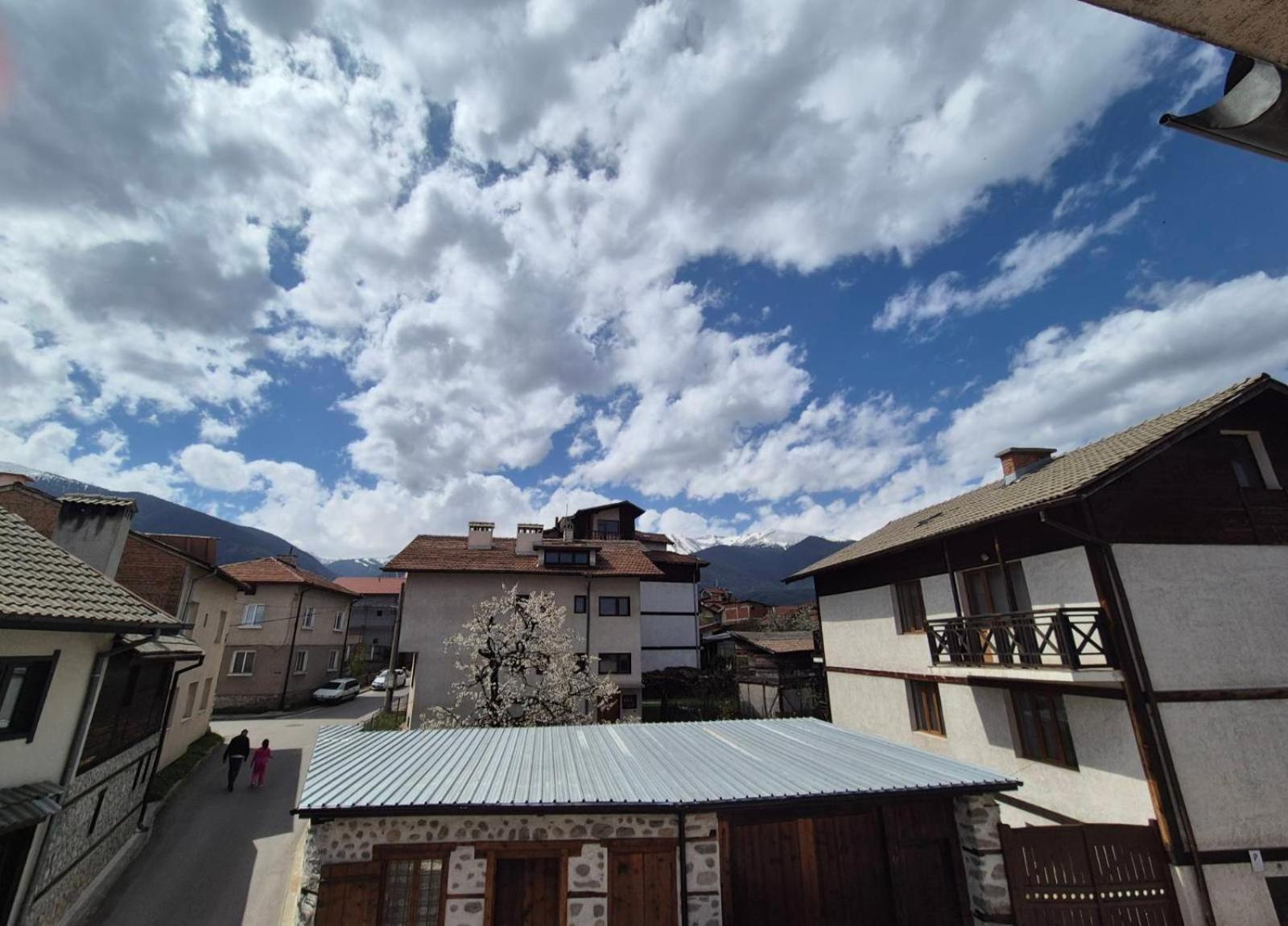 Aseva House Guest House Bansko Exterior foto